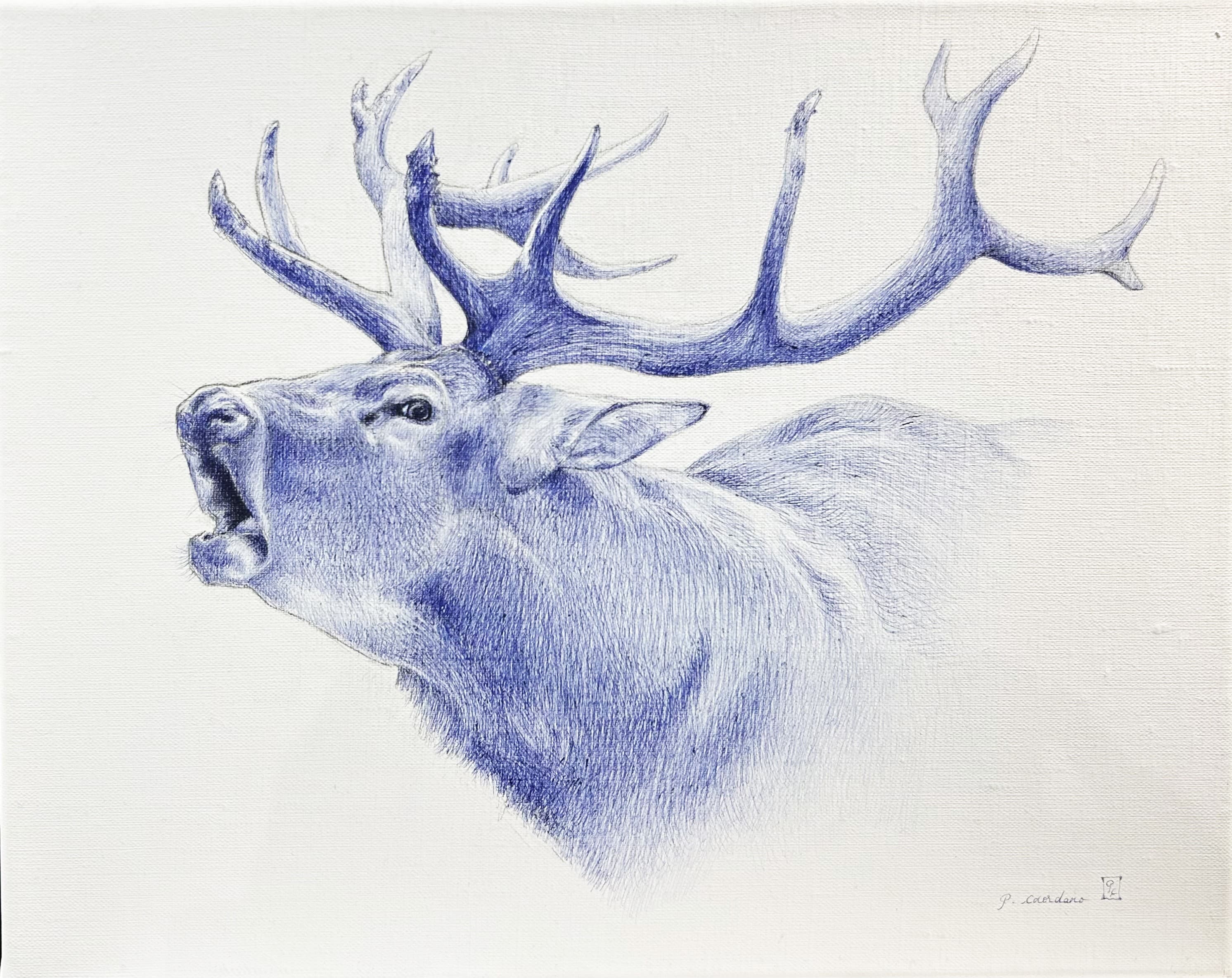 BRAME DU CERF