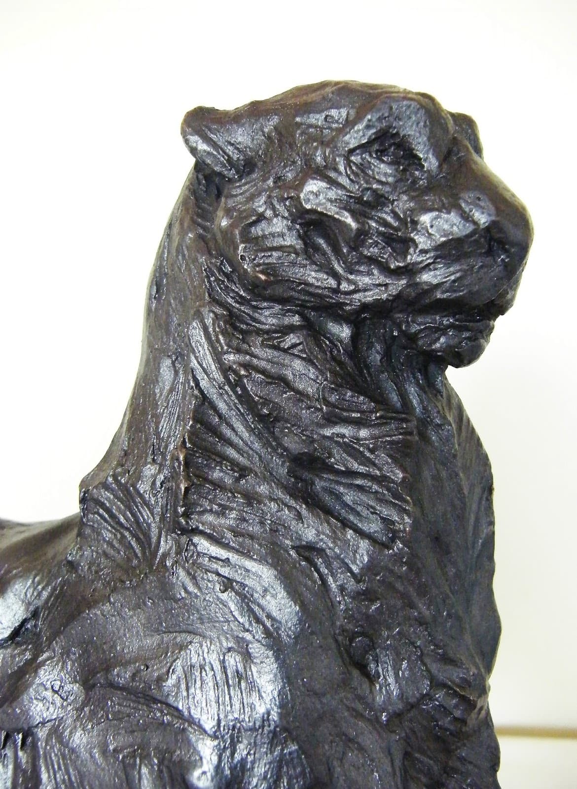 LÉOPARD, PANTHÈRE DES NEIGES