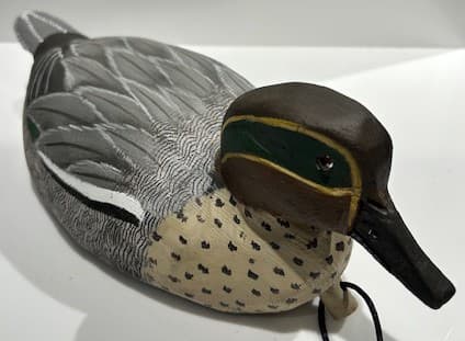 SARCELLE FORME MÂLE (canard)