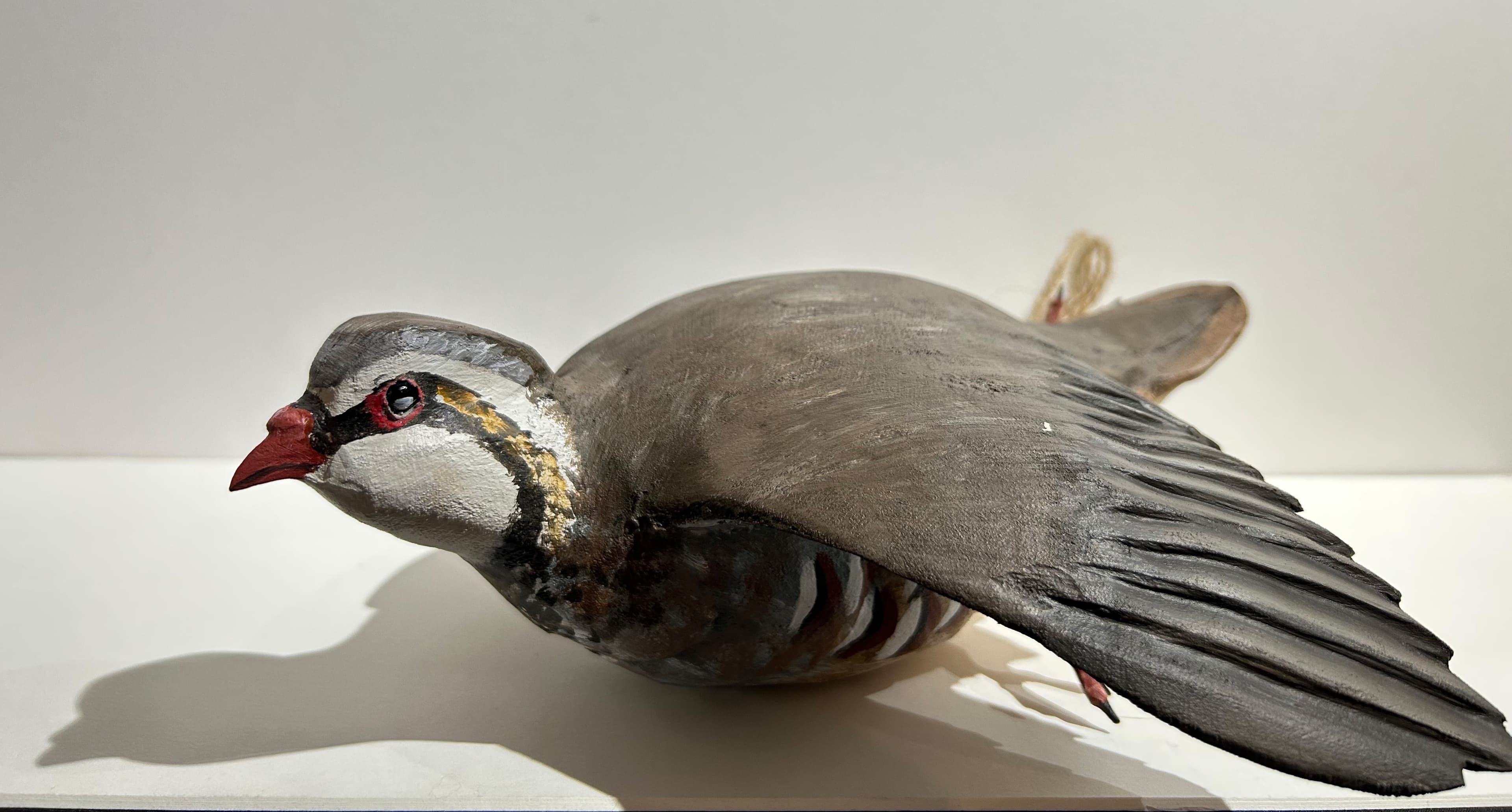 PERDRIX ROUGE (nature morte)