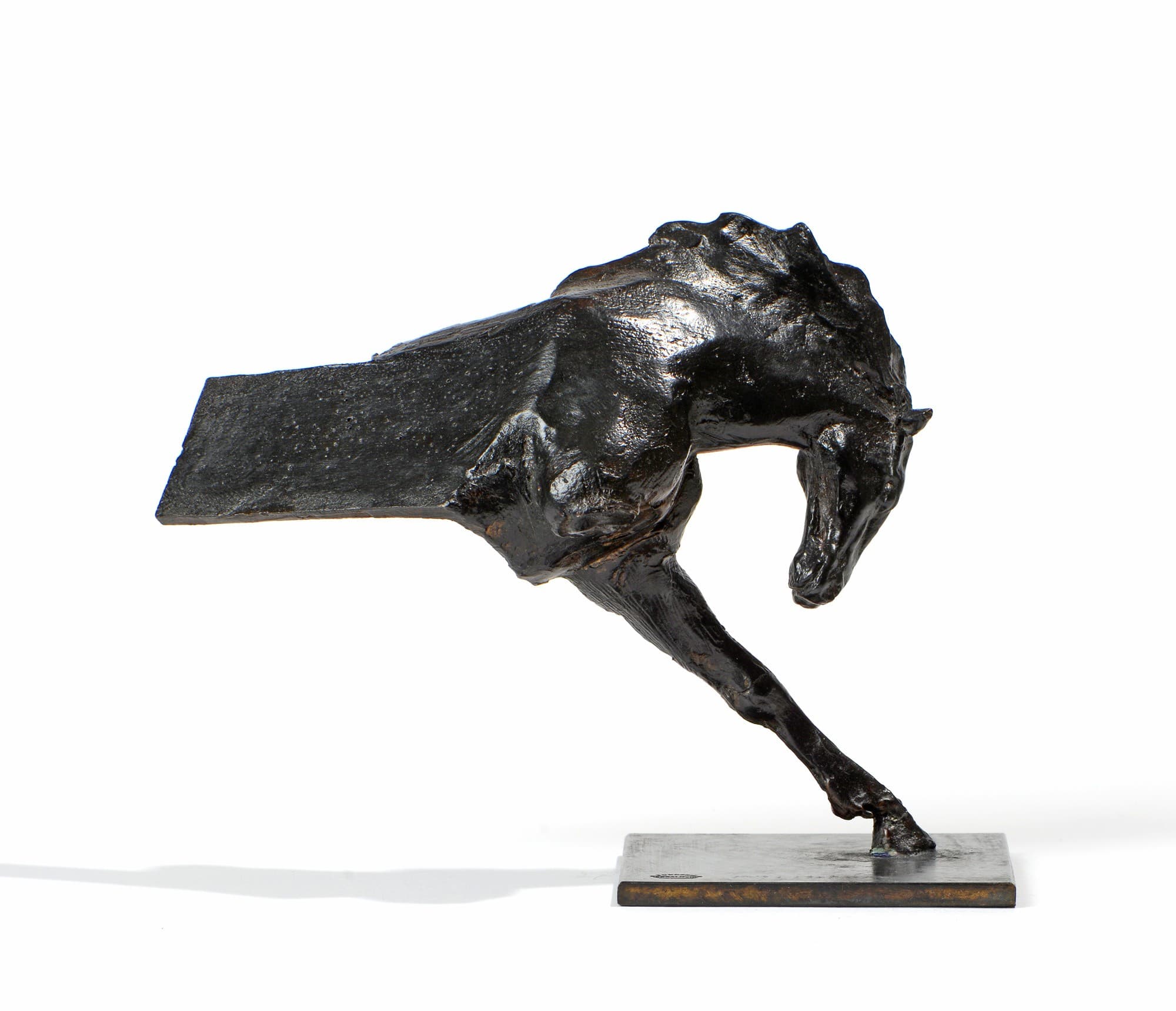 TETE DE CHEVAL No2