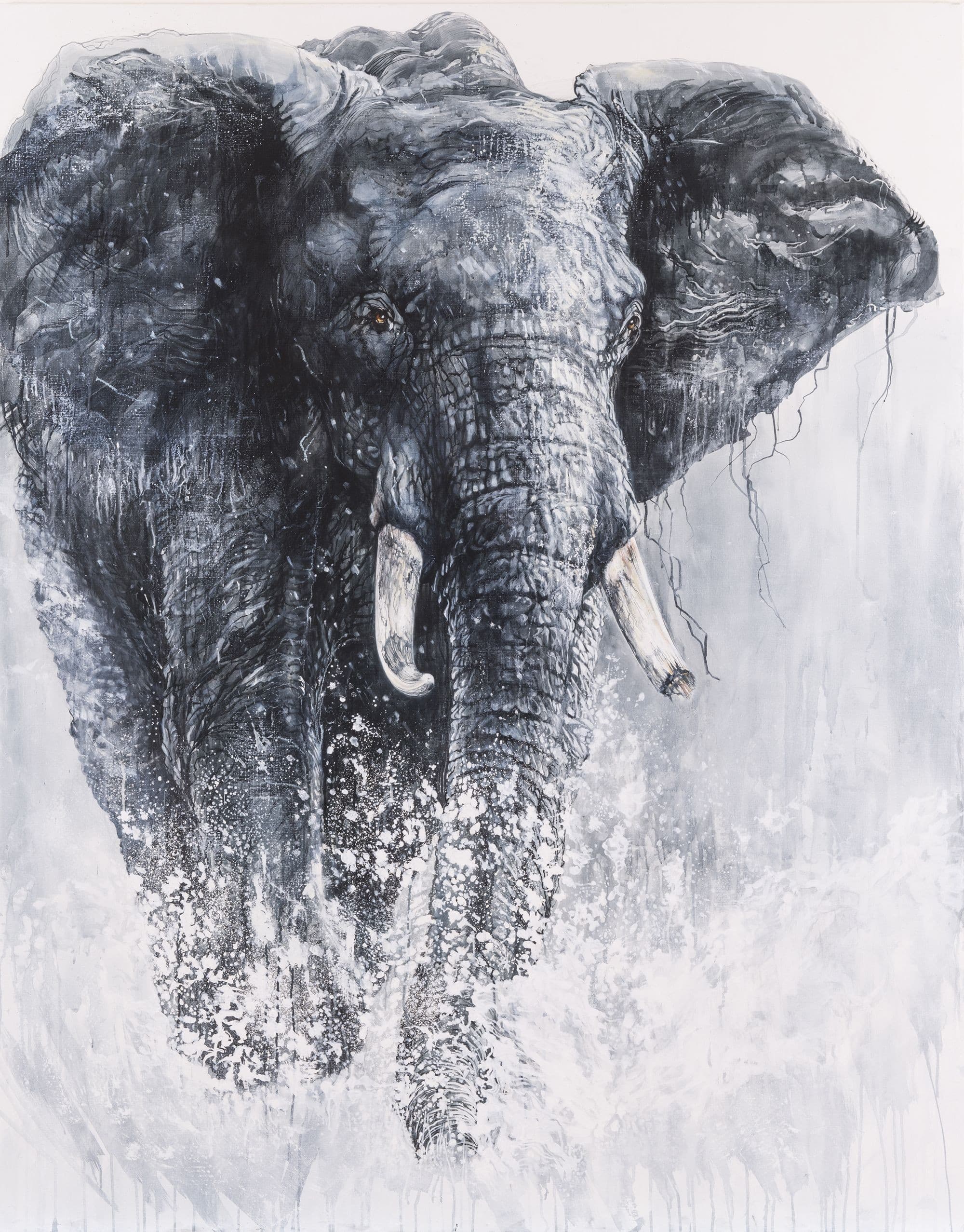 I HATE LIONS (éléphant)