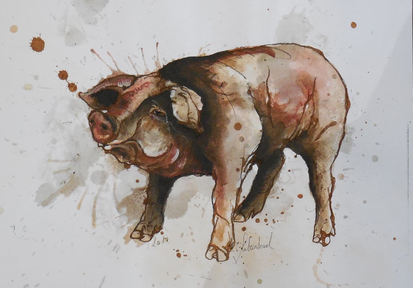 COCHON