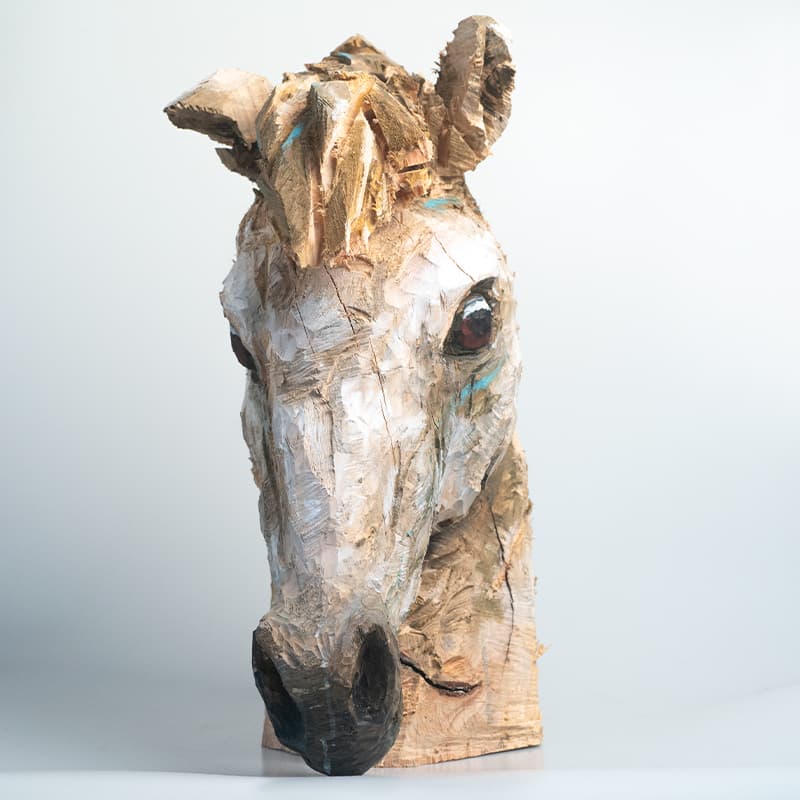Tête De Cheval Par Guillaume Belin 4
