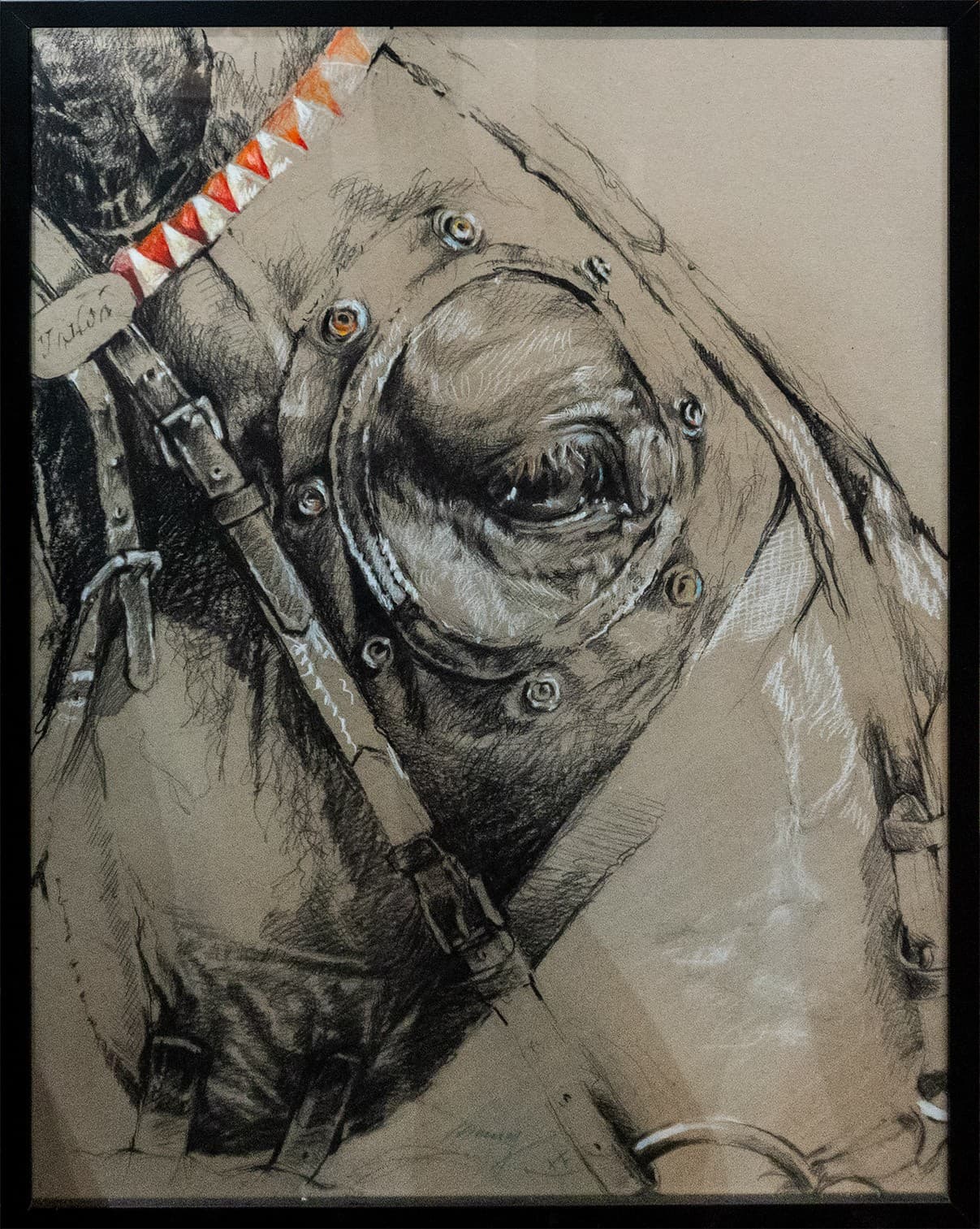 PORTRAIT DE CHEVAL