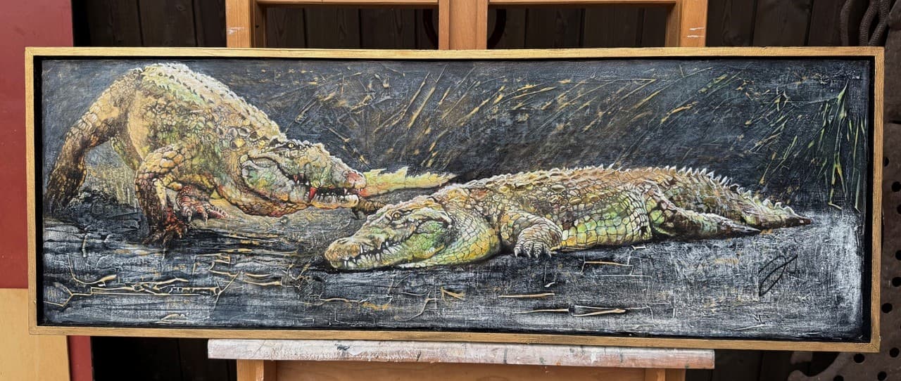 De Sympathiques Crocodiles 1 Julie Salmon