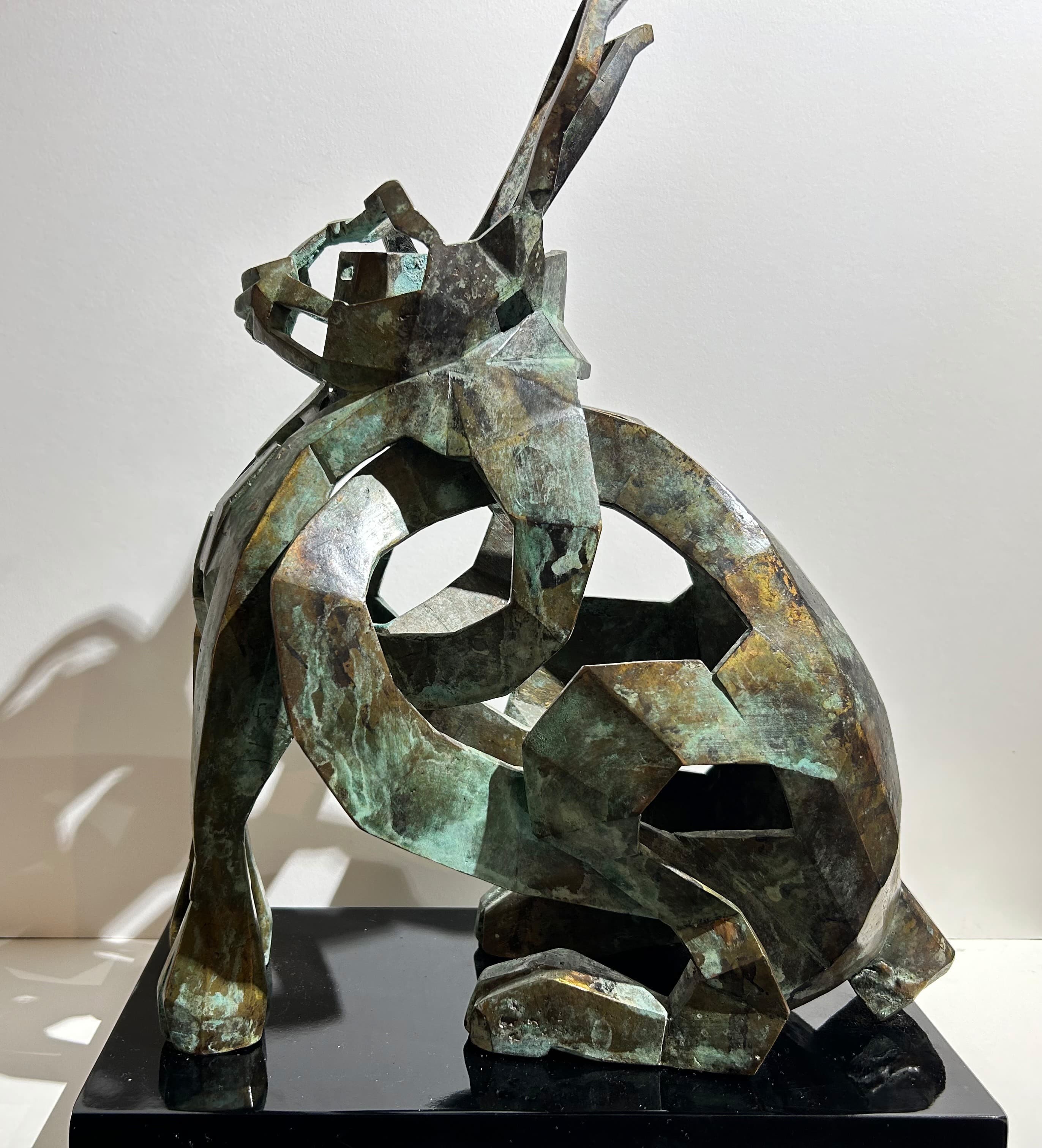 LE CALCULATEUR (lièvre)