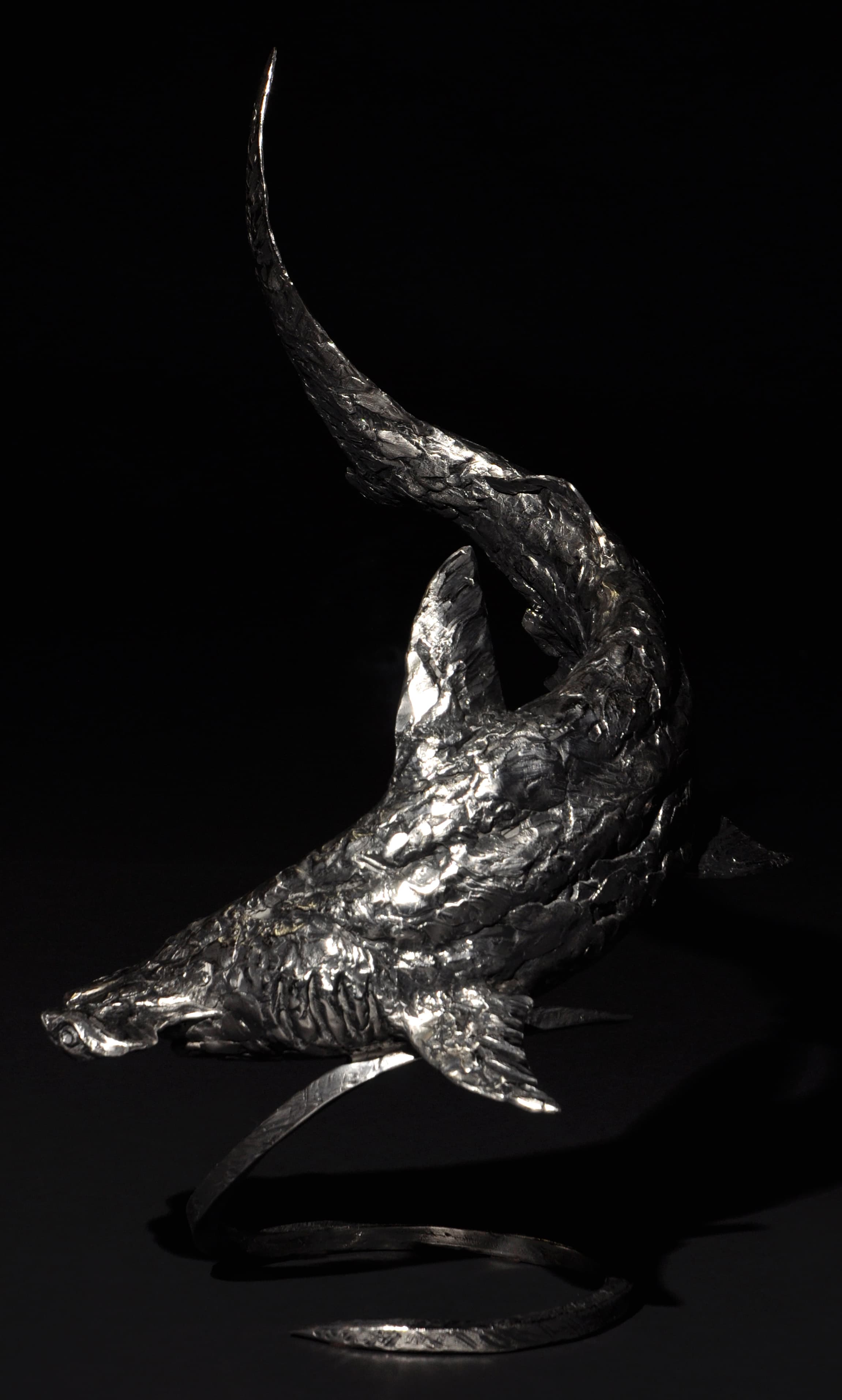 "SPIRAL GLIDE" (Requin marteau)