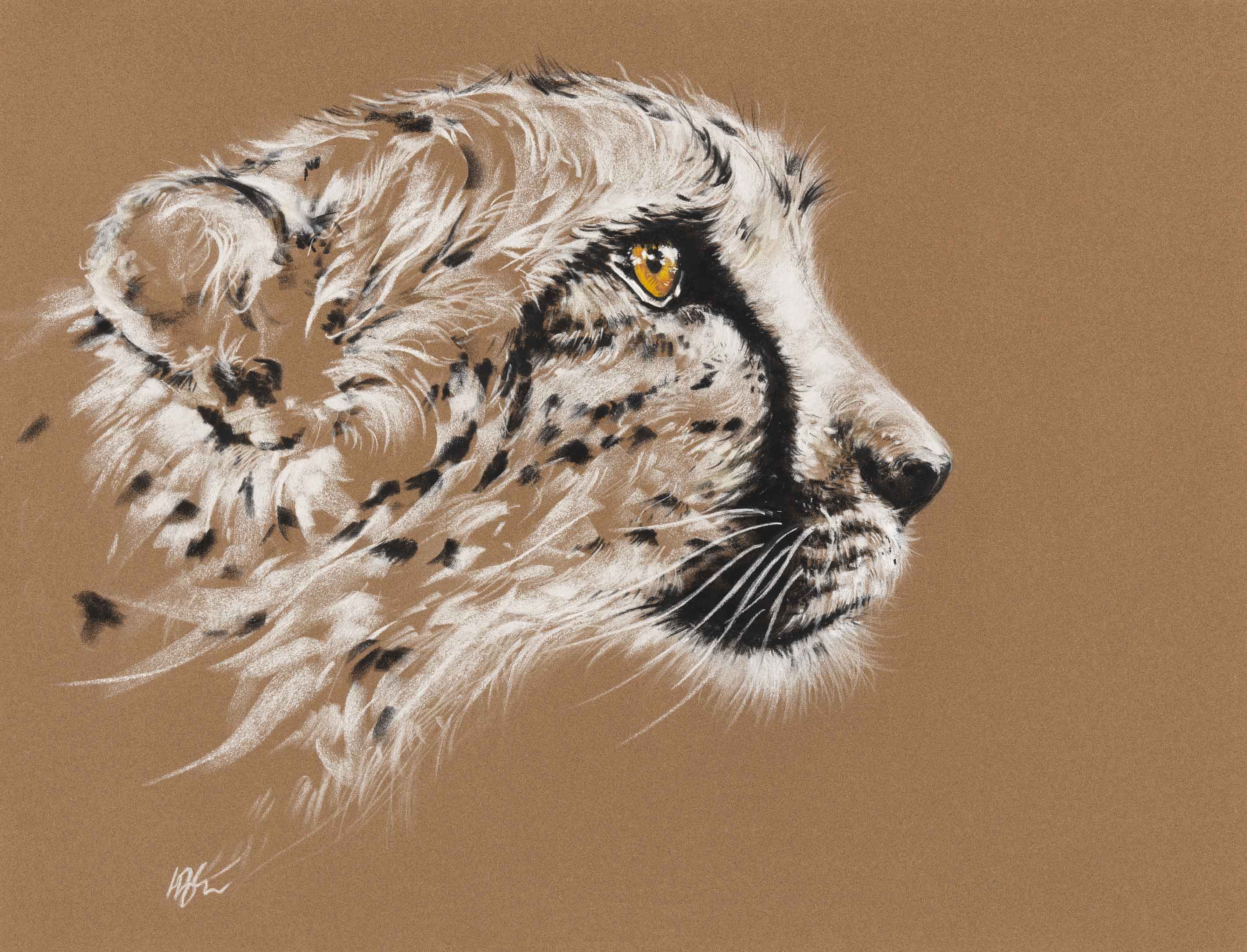 GUEPARD