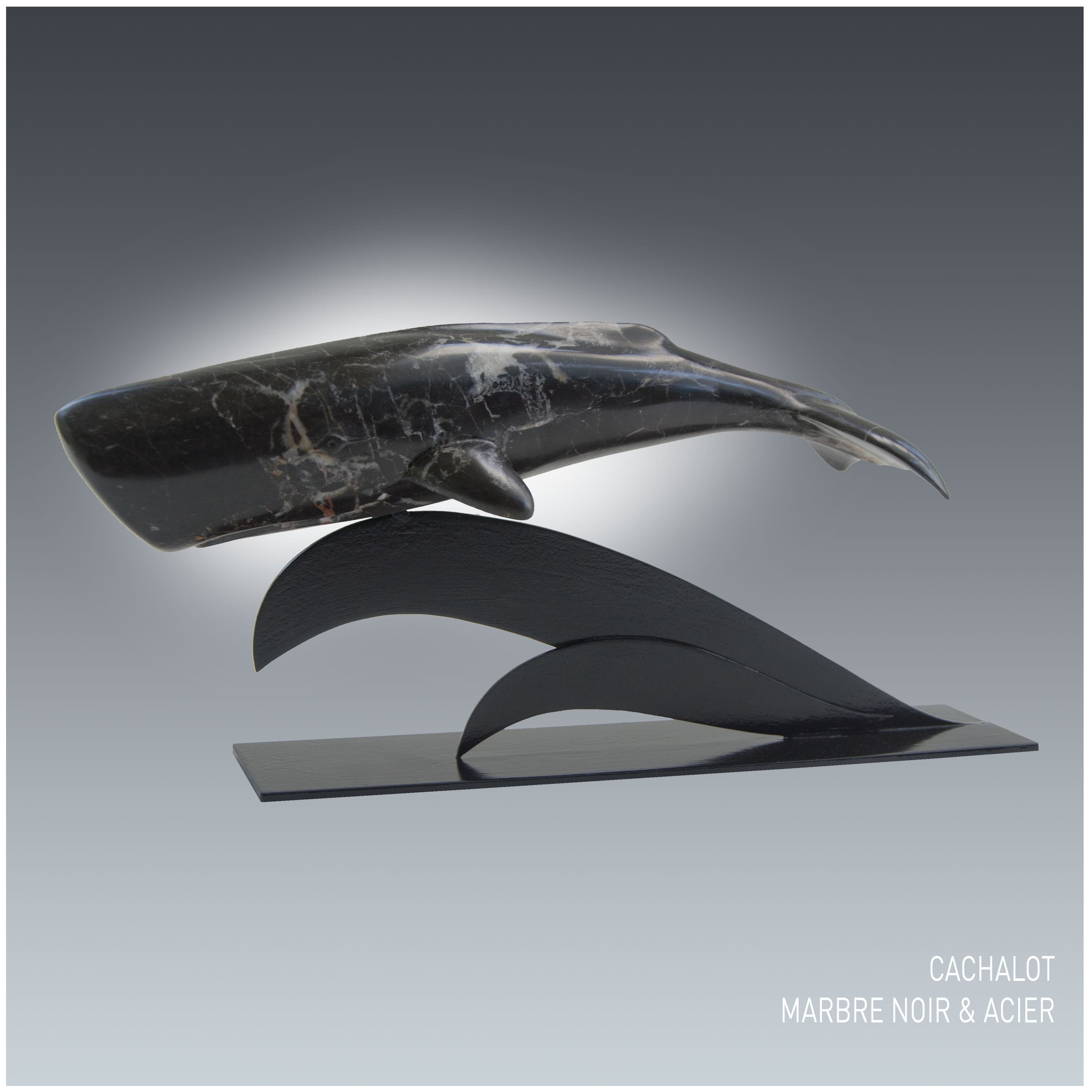 CACHALOT
