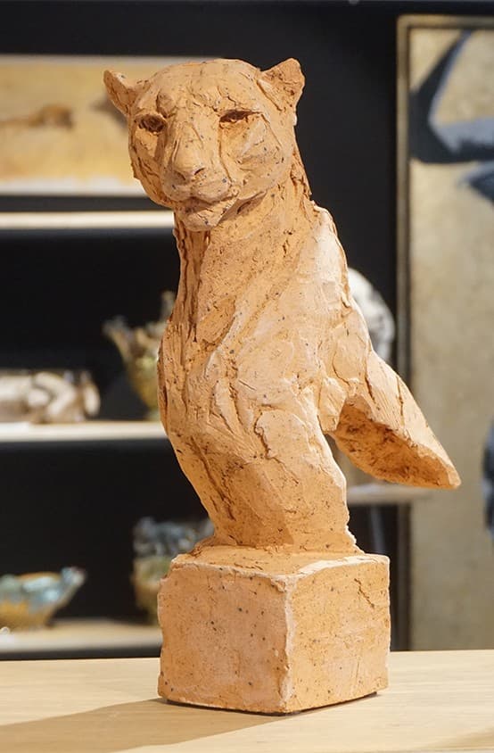 Etude de Guépard