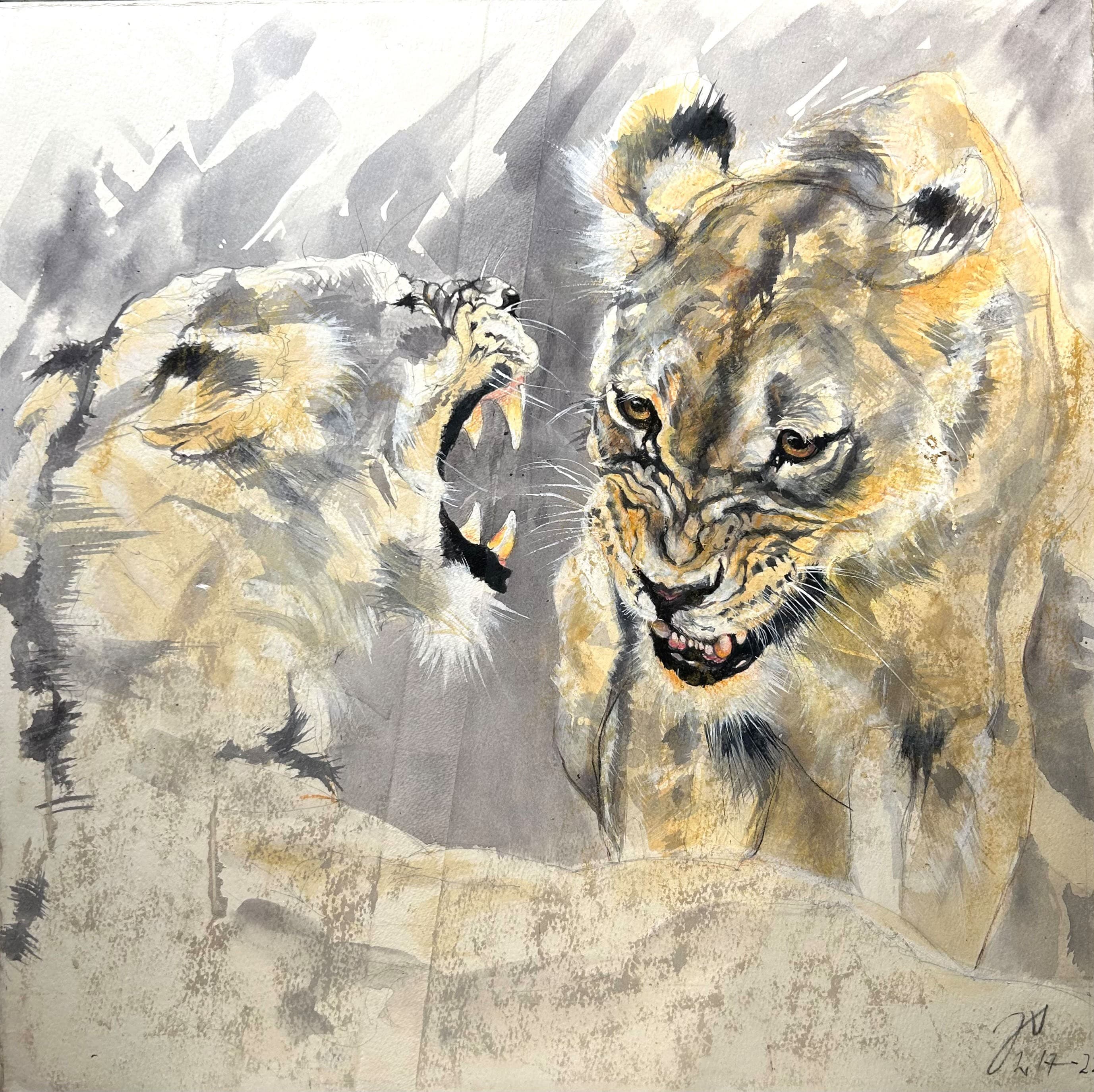 PETITE ALTERCATION (lions,lionnes)