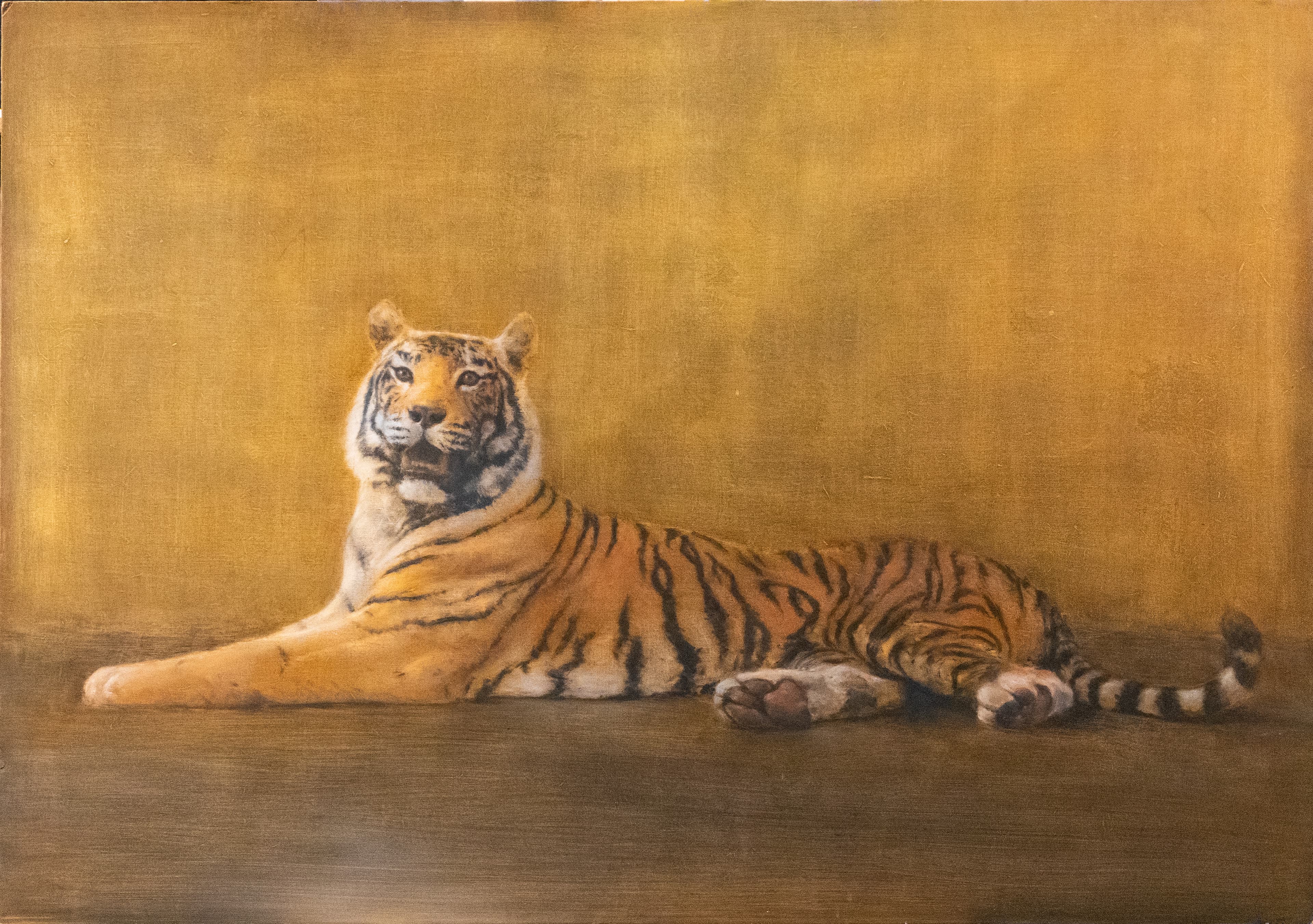 TIGRE