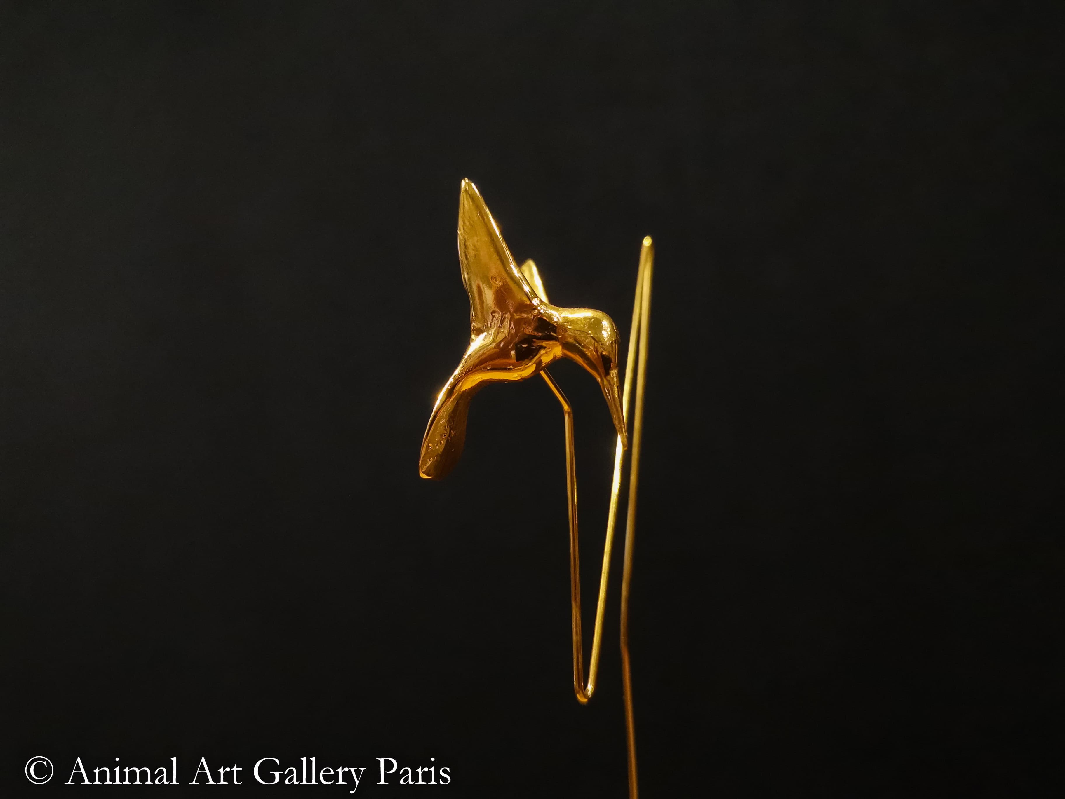 COLIBRI No1