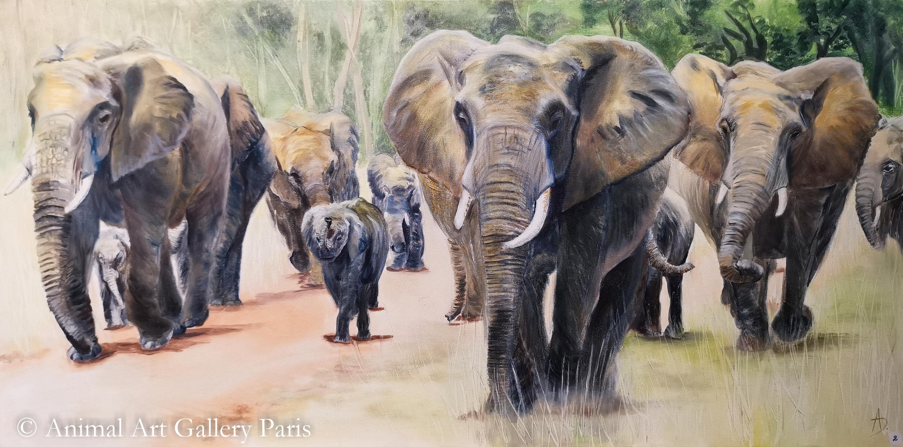 MUSIARA FOREST (éléphants)