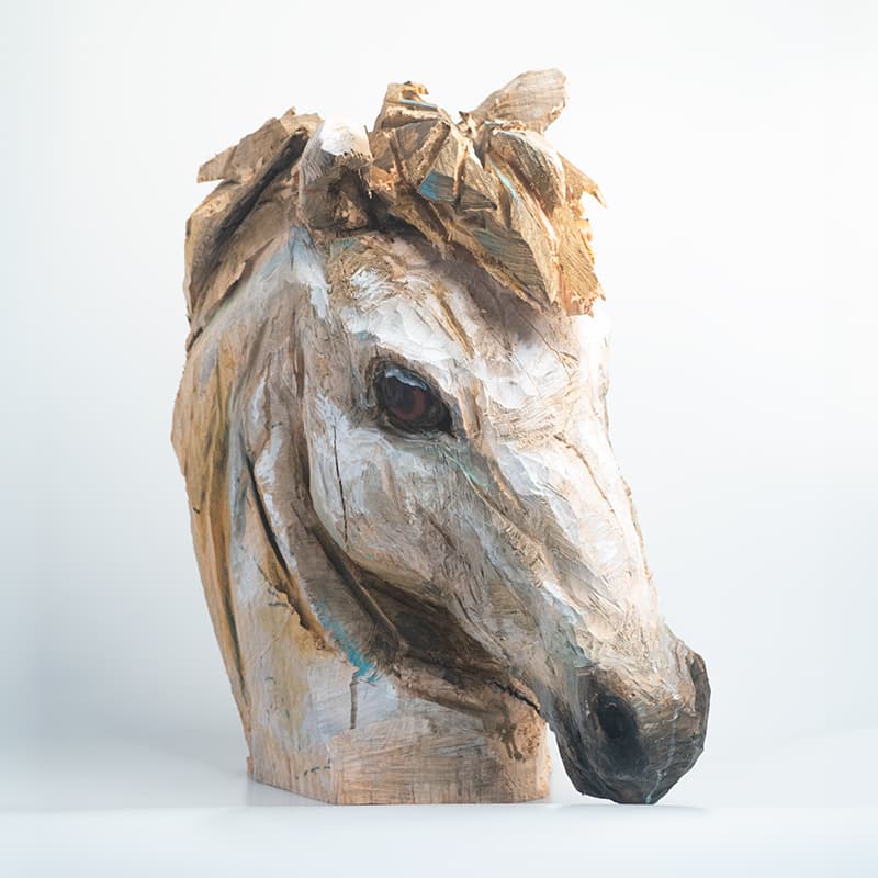 Tête De Cheval Par Guillaume Belin 5