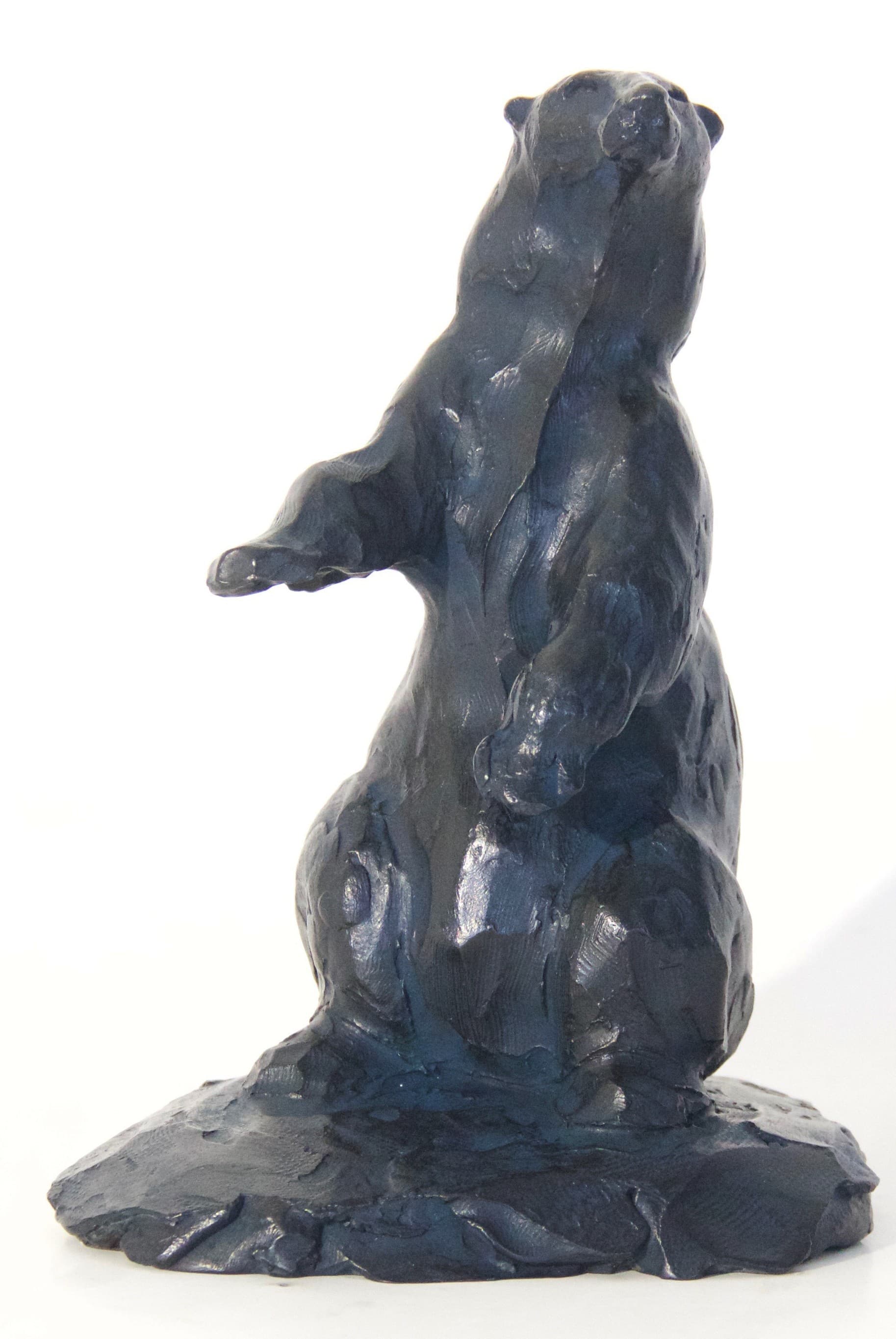 OURS BRUN - HORIZON 2 (Esquisse)