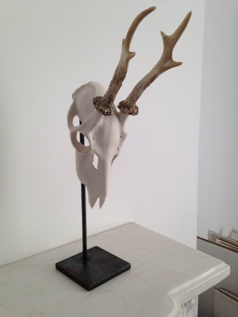 ROE TROPHY