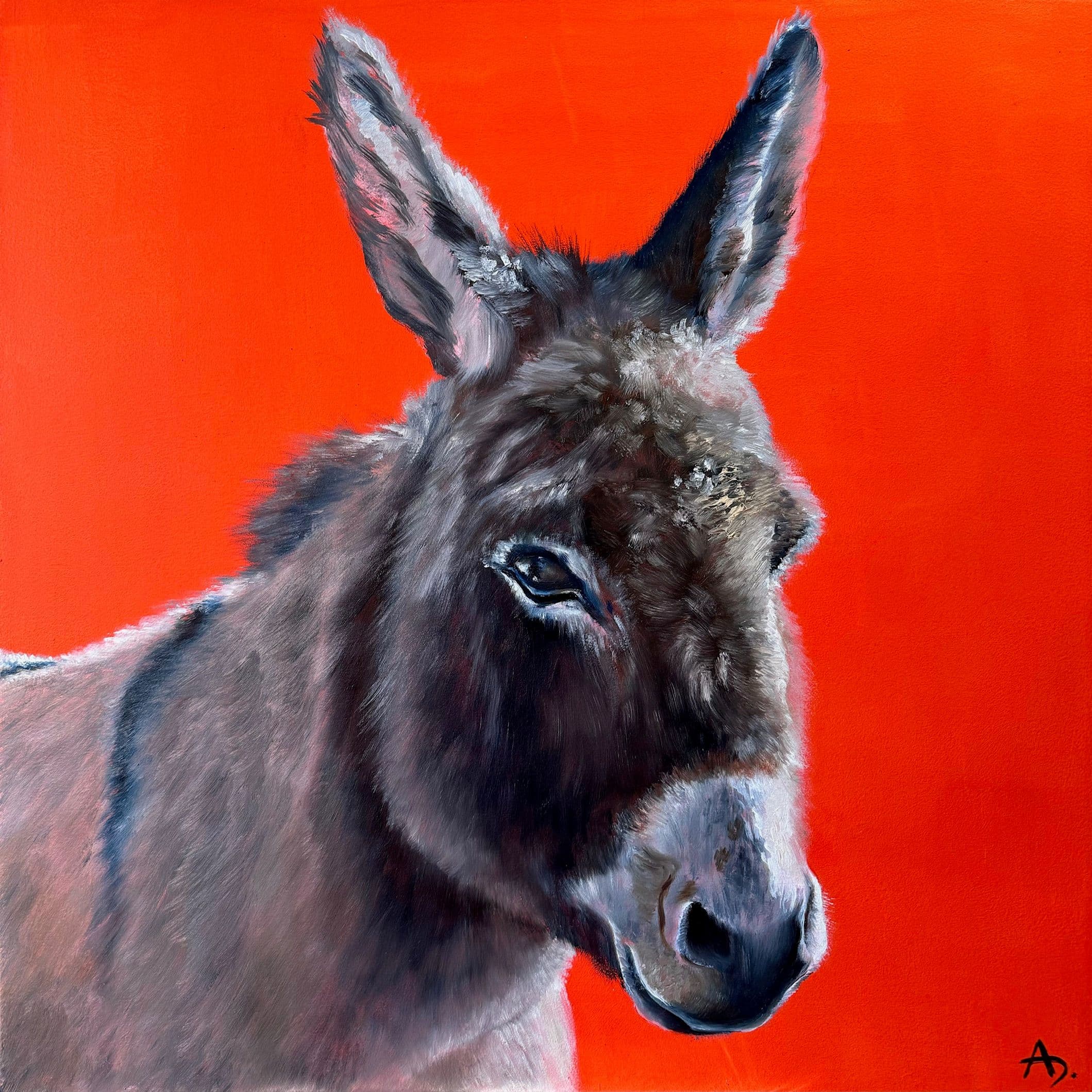 rhinoceros