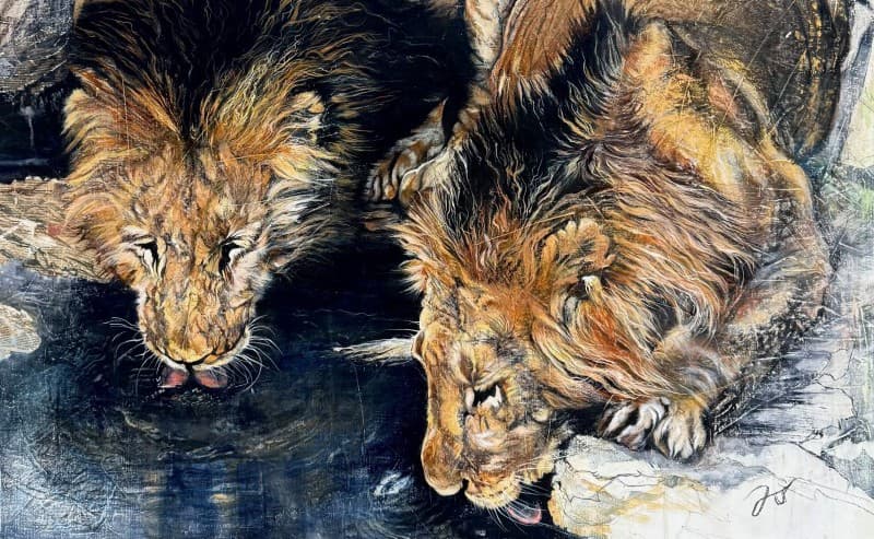 Ombres et Lumières de la Savane